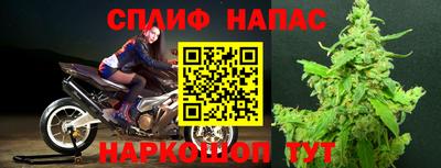 ГАЛЛЮЦИНОГЕННЫЕ ГРИБЫ Бузулук