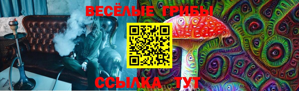 Сатка  Псилоцибиновые грибы Magic Shrooms  Вход с VPN 